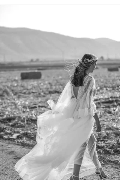 08a65c6d-5e5b-4b22-857d-d66d4ffe1ada